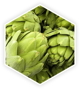 ProstaVive Artichoke Extract